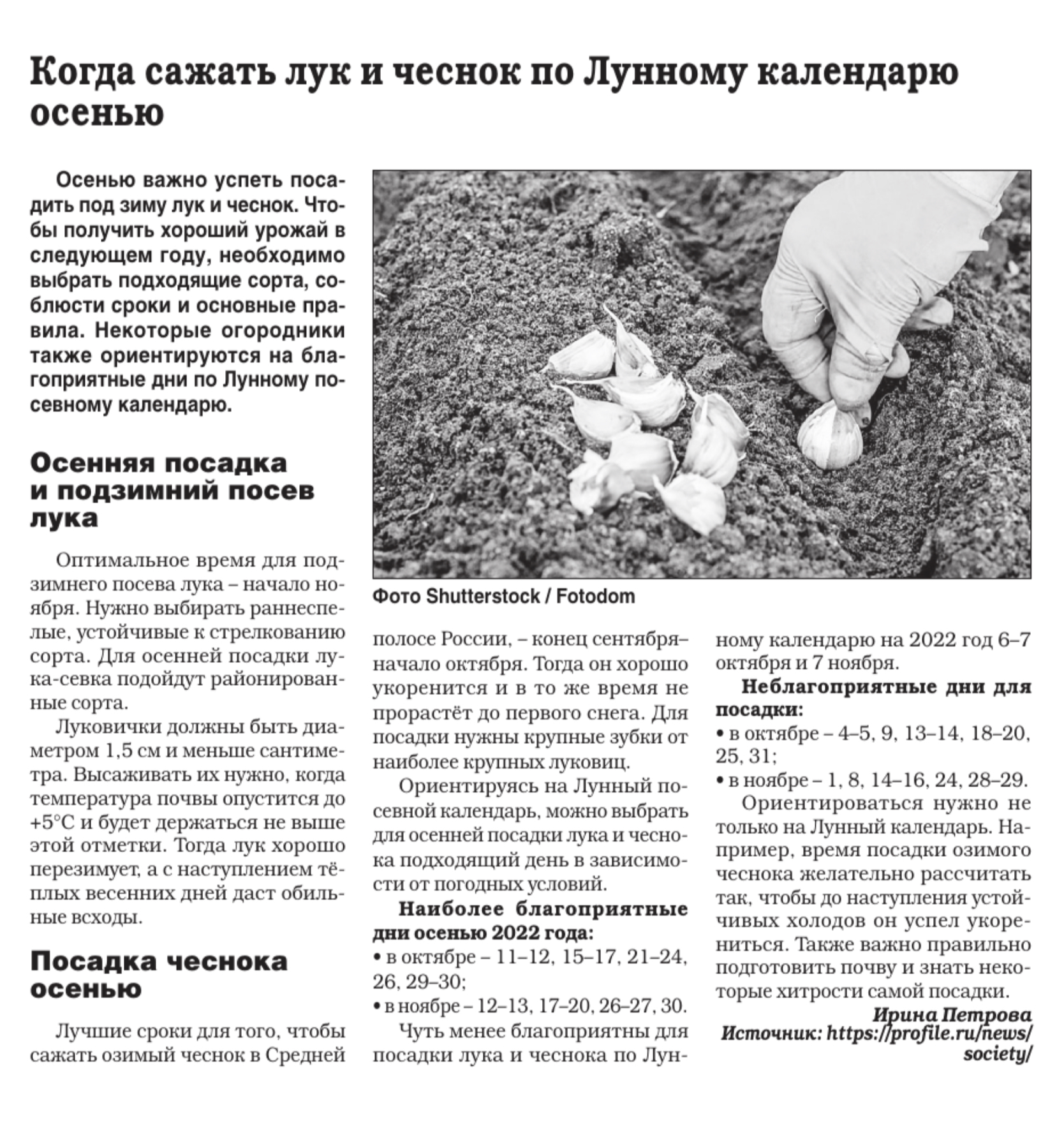 Когда сажать озимый чеснок в Иркутске и Иркутской области?