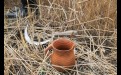Белорусские предки возвращали часть готового продукта земле-кормилице — закапывали «окраичек» хлеба на поле