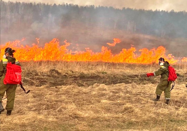 С момента введения особого противопожарного режима в регионе зафиксировано около ста природных возгораний. В первые сутки удается потушить около 85% лесных пожаров.