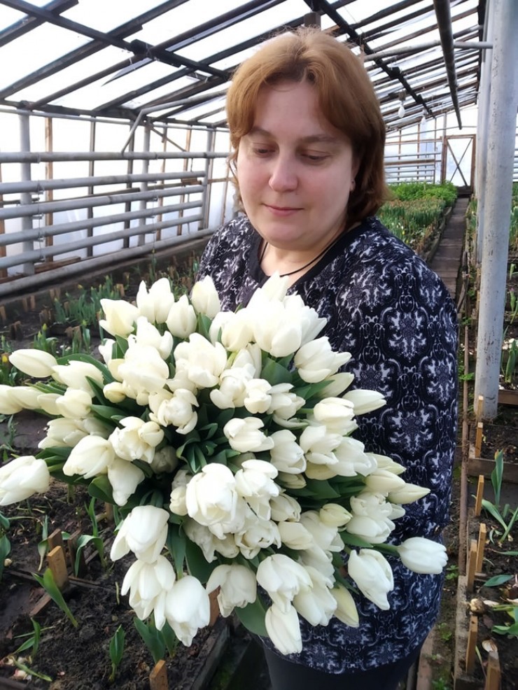 Сама Анастасия Колесова, агроном агрокомплекса МУП «Горзеленхоз», больше всего любит белые и желтые тюльпаны.