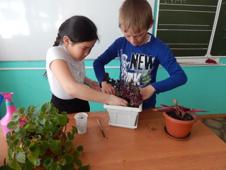 Поучаствовать в растениеводстве может любой желающий, и ученики с удовольствием берутся за такую интересную работу.