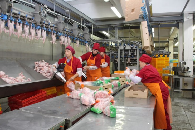 Ангарская птицефабрика — одно из крупнейших и старейших предприятий по производству мяса цыплят-бройлеров в Иркутской области, действует с 1965 года. С 2000 года фабрика вошла в состав группы предприятий «Янта». Объем производства — около 15 тысяч тонн продукции в год. Инвестиции в обновление мощностей в 2018 году — 400 миллионов рублей.