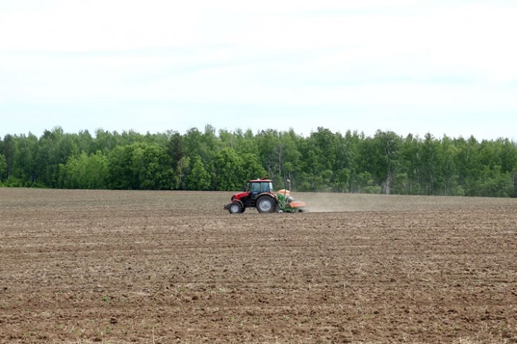 Управление движением трактора через спутник позволяет сеять кукурузу аккуратными, ровными рядками