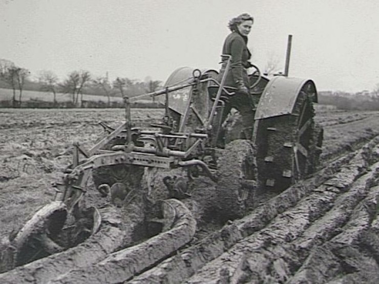 Во время войны женщины заменили мужчин, в том числе и на полевых работах