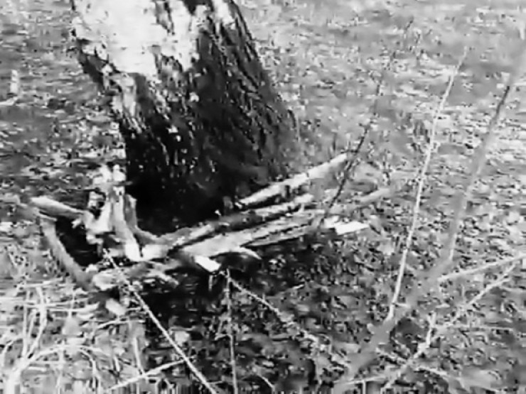 Добровольцы отряда 15.08 не только тушили лес, но и раскидывали сухие ветки, которыми неизвестные злодеи обложили березы.