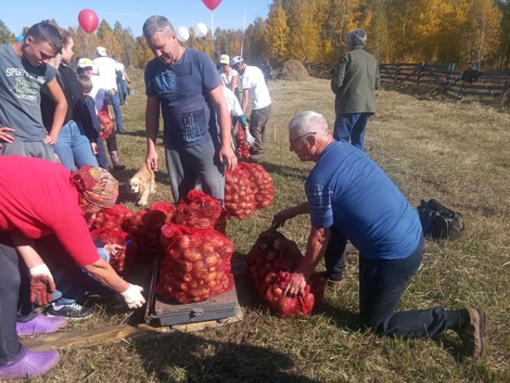 битва на картофельном поле. Смотреть фото битва на картофельном поле. Смотреть картинку битва на картофельном поле. Картинка про битва на картофельном поле. Фото битва на картофельном поле
