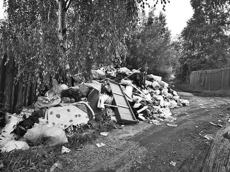 Вот такие мусорки растут возле дачных участков в Ангарске.  СНТ «Юбилейное»