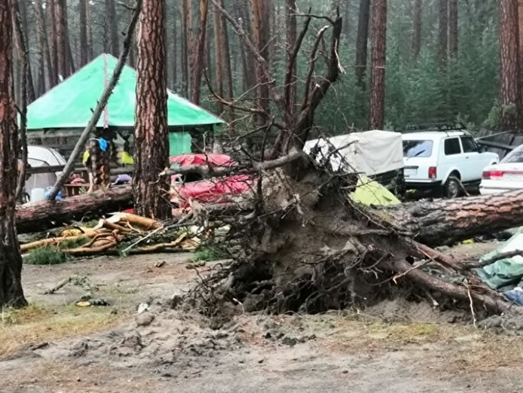 Мощные сосны, вырванные с корнем, завалили два десятка автомобилей и раздавили десять палаток с людьми.
