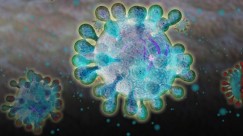 Так выглядит коронавирус, который имеет официальное название 2019-nCov, а неофициально его называют китайской пневмонией. Человек может умереть из-за осложнений, которые он вызывает. Но эпидемии, скорее всего, не случится. Если ученые разгадали геном вируса, значит, вскоре научатся и бороться с ним