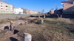 Стало