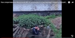 Видео с сайта gulagu.net, якобы предоставленное добросовестным сотрудником ИК-15, где человека заставляют нырять в выгребную яму. Пресс-служба регионального ФСИН опровергла подлинность данного видео. 