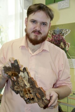 Александр Суслов с гигантскими, длиной 7—8 см, лесными тараканами Центральной Америки