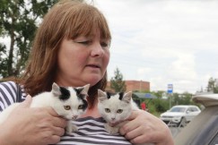 Наталья Лобань и школьники отдают иркутянам котят, которых в Тулуне просто никто не берёт