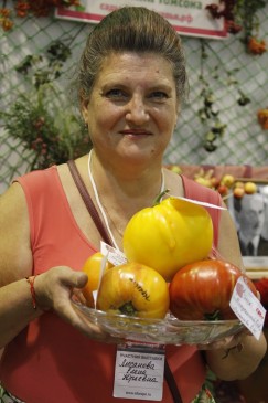 Елена Лысанова из клуба  им. А.К.Томсона со своей коллекцией томатов