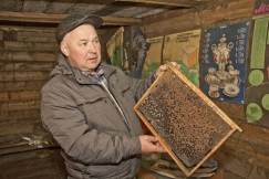 Радий Галеев занимается пчеловодством много лет. Каждый год он старается пополнять свой ассортимент новыми продуктами.