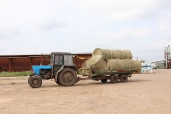 В области уже заготовлено 94 тыс. тонн сена