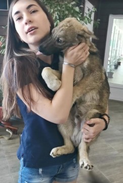 Дарья Мунгалова узнала своего щенка  по фотографии в соцсетях. Во время наводнения спасатели сняли собаку  с унесённого дома под мостом