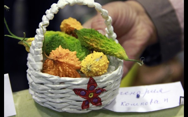 Момордика, выращенная Натальей Комковой, вызвала неподдельный интерес у посетителей выставки «Сад. Огород. Загородный дом»